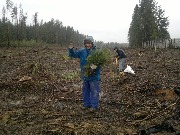 2017-05-08-2042.jpg