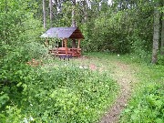 IMG_20170616_163600.jpg