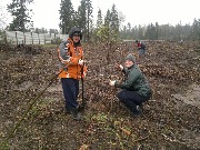 2017-05-08-2040.jpg